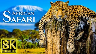African Safari in 8K ULTRA HD - Scenic Wildlife Film With African Relaxing Music and Nature Sounds
