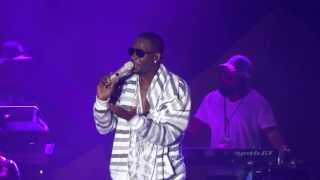 R. Kelly - Pitchfork 2013 -- Bump N' Grind into A Capella Interlude