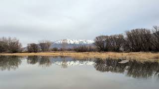 45 minutes of Reflections By The Lake