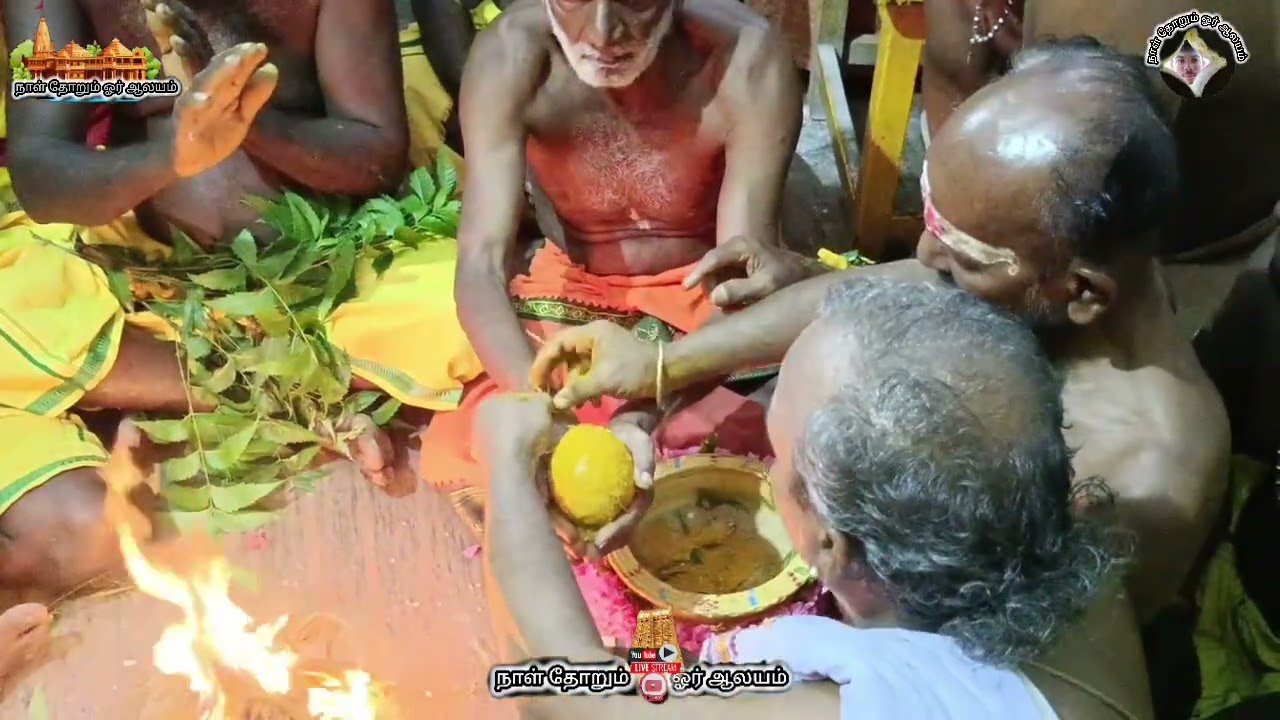 #வாசுதேவநல்லூர் #ஸ்ரீ #மாரியம்மன் #திருக்கோயில் #பூக்குழி #வழக்கும் #நிகழ்ச்சி #நடைபெற்றது