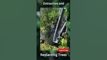 Extraction and Replanting Trees with a Tree Spade 🌲#shorts #ahortvideos #recycle #savetheplanet