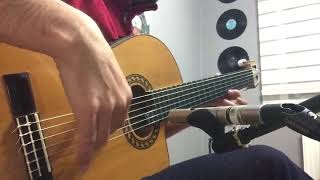 Elveda - Nezih Üçler (Gitar Solo)