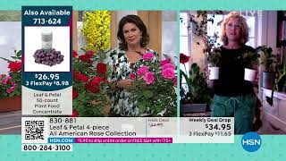 Leaf   Petal Designs 4piece All American Rose Collection