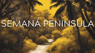 Travel vlog - Places to Visit in Samaná Peninsula 🇩🇴 Travel Video