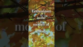 Enthusiasm Is The Mother Of Effort Energy Surge motivation confidencewins quotes