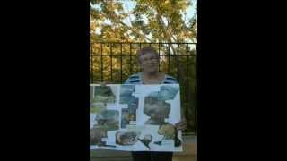 Karen Fuller Soul Vision Collage Workshop 2012