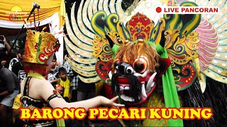 BARONG PECARI KUNING JARANAN TARUNA ANYAR LIVE PANCORAN BANYUWANGI 16/03/2021