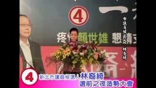 103/11/22林裔綺選前之夜造勢晚會