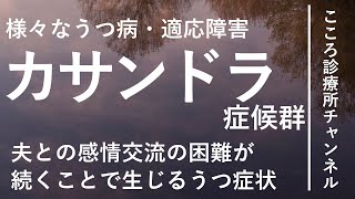 カサンドラ症候群【様々なうつ病・適応障害、精神科医が12分でまとめ】