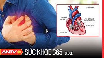 Dấu Hiệu Nhận Biết Tim Bẩm Sinh Ở Người Lớn | Sức Khỏe 365 | ANTV