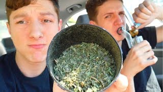 SMOKING THE WORST WEED EVER...