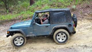 7/23/2017 Trail 19 Citrus WMA