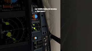 Low visibility landing into BCN|LEBL RWY06L #flightsimulator #aviation #vr
