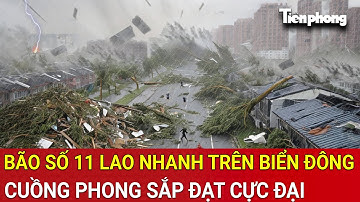 Trực tiếp bão số 11 Matmo lao nhanh trên Biển Đông, cuồng phong sắp đạt cực đại tàn phá khủng khiếp