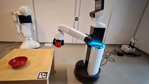 [HSR-ROBOT] iChores Project: Grasping Objects from the YCB-Dataset