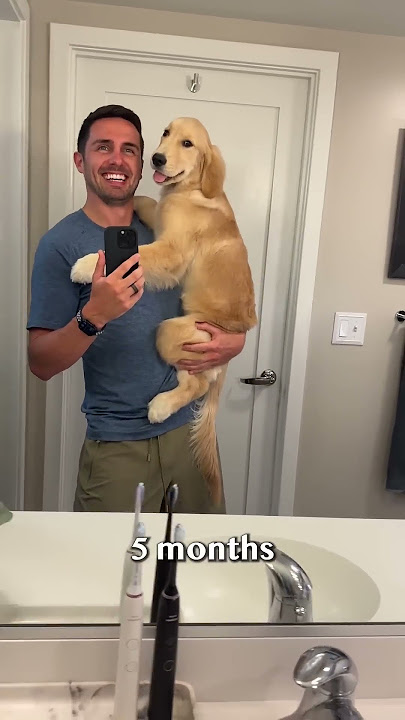 Anak anjing berubah menjadi remaja dalam 20 detik