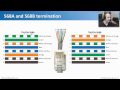 Wiring Standards - CompTIA Network+ N10-004: 2.4