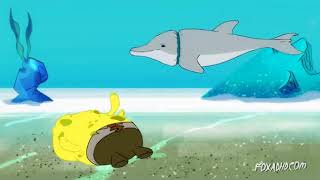 SCIENTIFICALLY ACCURATE ™: SPONGEBOB SQUAREPANTS
