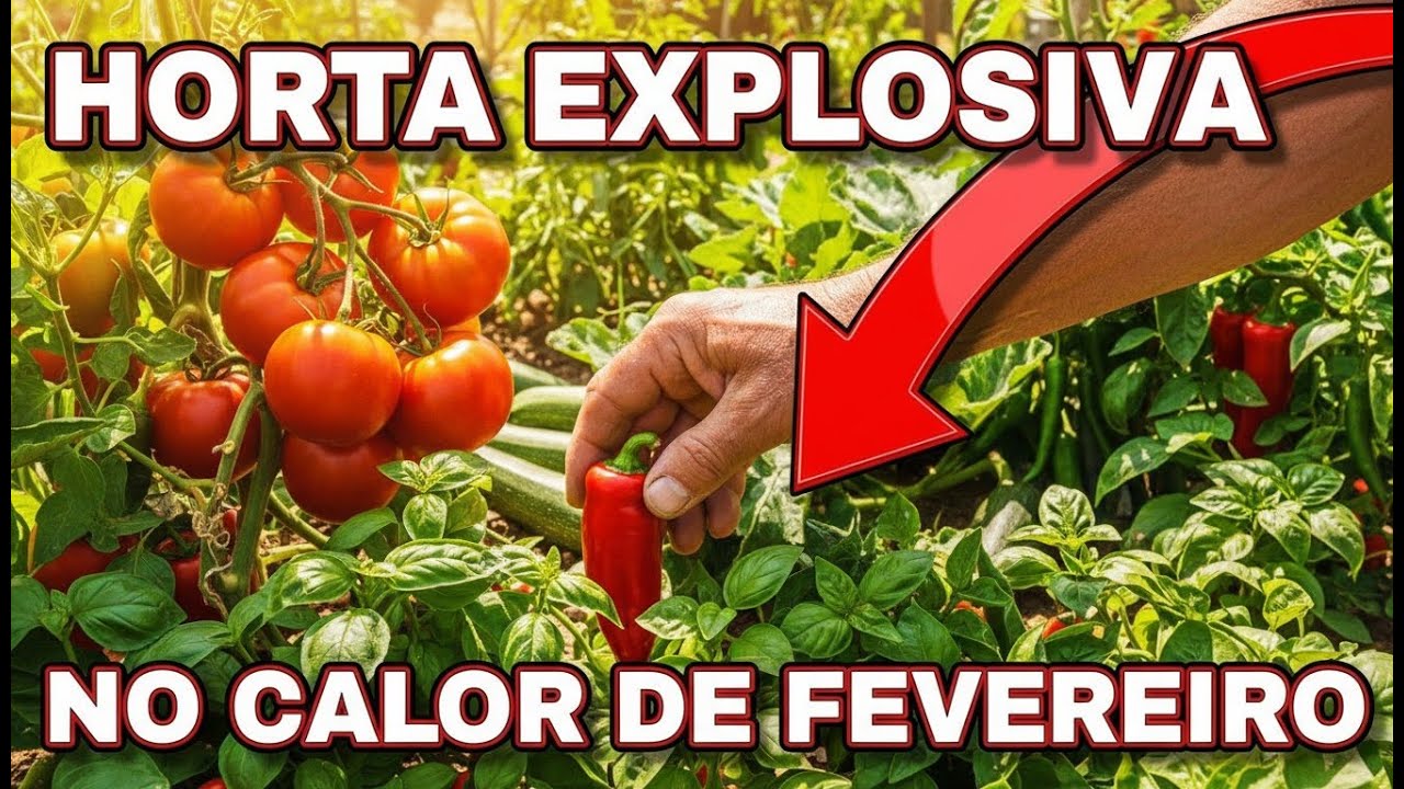 7 Hortaliças Que Amam o Calor de Fevereiro e Colhem em Tempo Recorde
