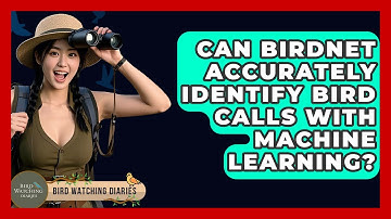 Can BirdNET Accurately Identify Bird Calls With Machine Learning? - Bird Watching Diaries