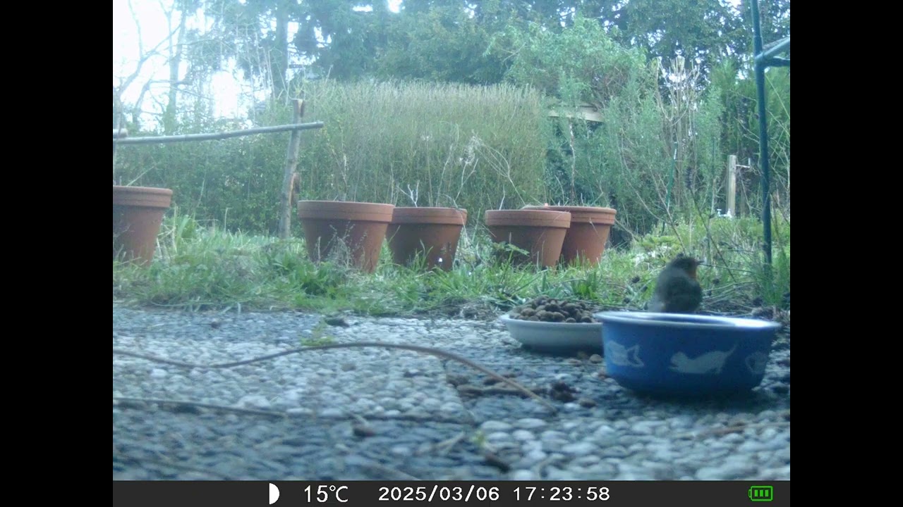 garten 2026 03 07 f3