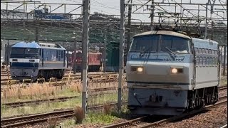 8865レ EF66 123 稲沢駅 2025年4月26日 #ef66