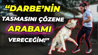Darbeni̇n Başini Sevene Oğlak, Tasmasini Çözene Araba Hedi̇ye
