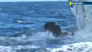 Australia Shark Cull: Fishermen kill first shark in controversial Australian state culling program