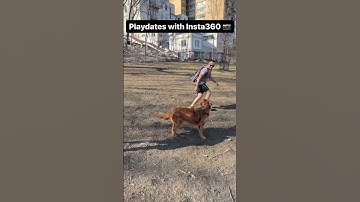 Move over, creators 🙌there