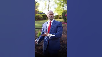 Why True Growth Starts Outside the Office | Shaan Rais on Creative Energy