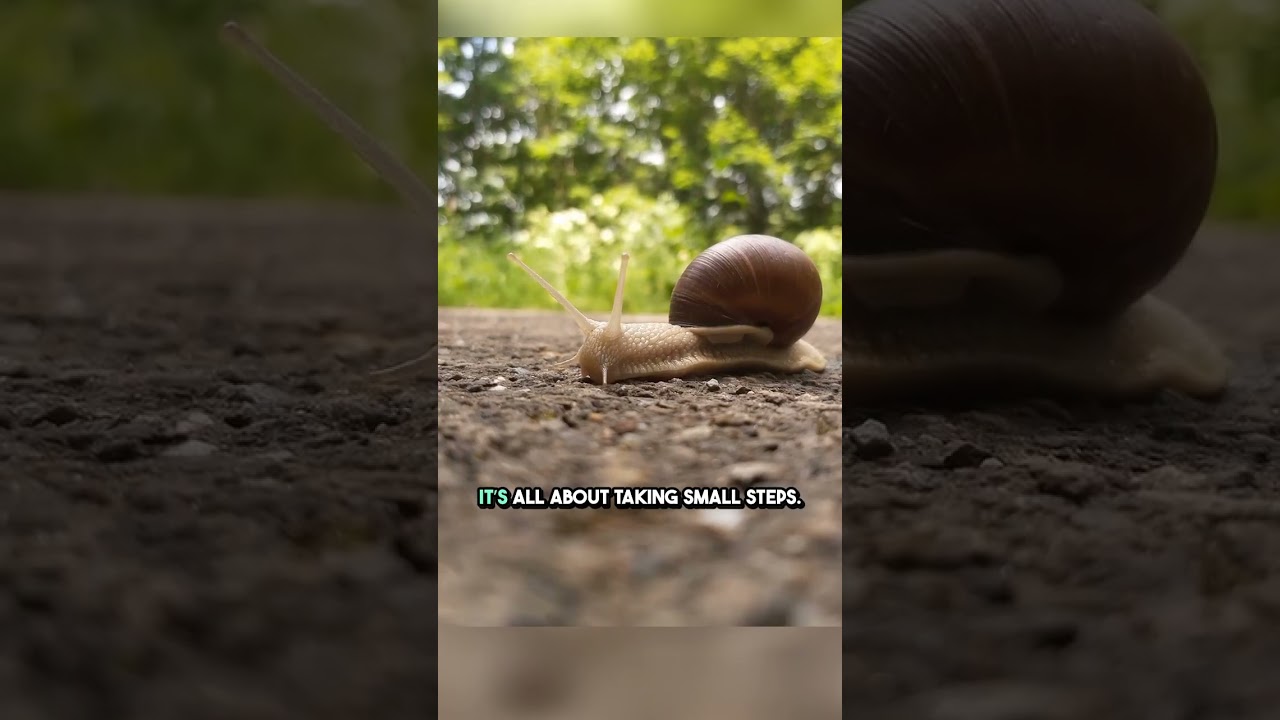 🔑Stop Competing With Others — Destroy Your Own Excuses 