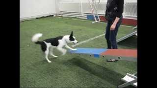 Tweet agility foundations lesson 3 see-saw