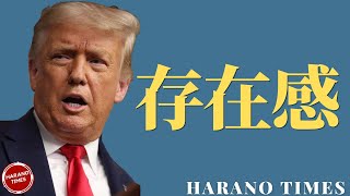 トランプ大統領が王座に戻る形、愛国党の話から見るトランプ大統領がこれから進む可能性がある道