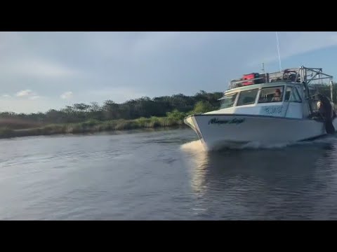 Take a boat tour of the Homosassa River