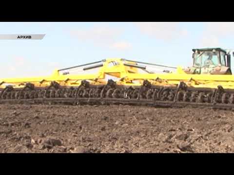 В Курской области планируют увеличить посевные площади зерновых культур