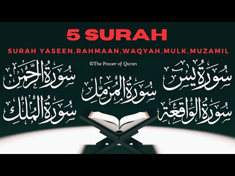 Quick Recitation In Just 20 Mins Surah Ar Rahmaan Surah Yaseen Surah Waqiah Surah Mulk Surah Muzamil