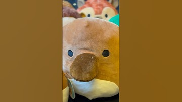 I want my own NATURAL SQUISHMALLOW planet! #squishmallows #shorts