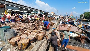 Cảng vàm láng nhộn nhịp mỗi khi ghe sông cầu vô bán ruốc(Vietnamese fishermen)