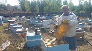 Erzincan Çayırlı Balıklı Köyü Bal Hasadı