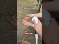 🏕️ No shower during camping trips? #viral #campinglife #travelessentials