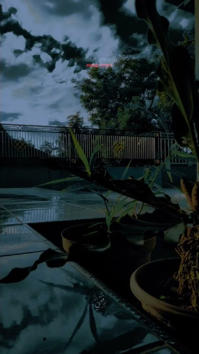 Story 50 Detik | Kebacut Nyaman x Pingal x Ojo Nangis | SOUND VIRAL TIKTOK 2022 #overlay #storywa