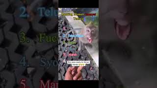 Ranking Momen Monyet Lucu