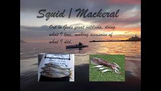 Squid and Mackeral - South Africa Simonstown
