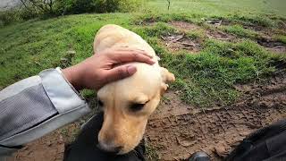 Do We Really Deserve Them?