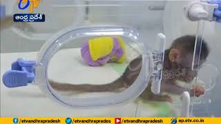First monkey clones created in Chinese laboratory
