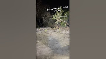 Iph projector and Crystal eye 130w Led. Amazing focus,real video.To order Whatsapp-9999023773