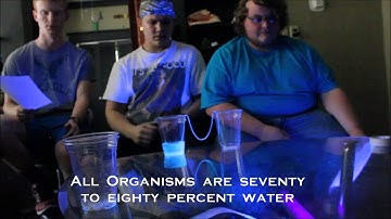 Water Properties Project - Cohesion & Adhesion