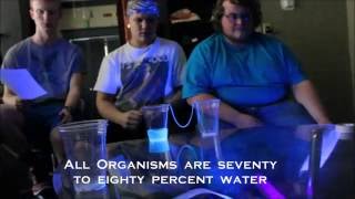 Water Properties Project - Cohesion & Adhesion