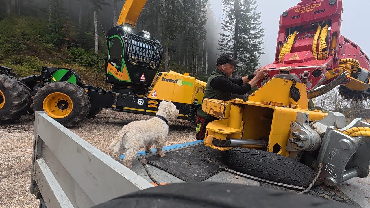 Capo Charly 🌲 CASE CX 130D mit Forstzange - Highlander mit Klemmbank 🌲 / perffeto