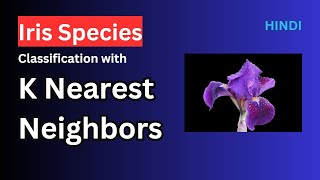Iris Species Classification with KNN | K Nearest Neighbors Wealth